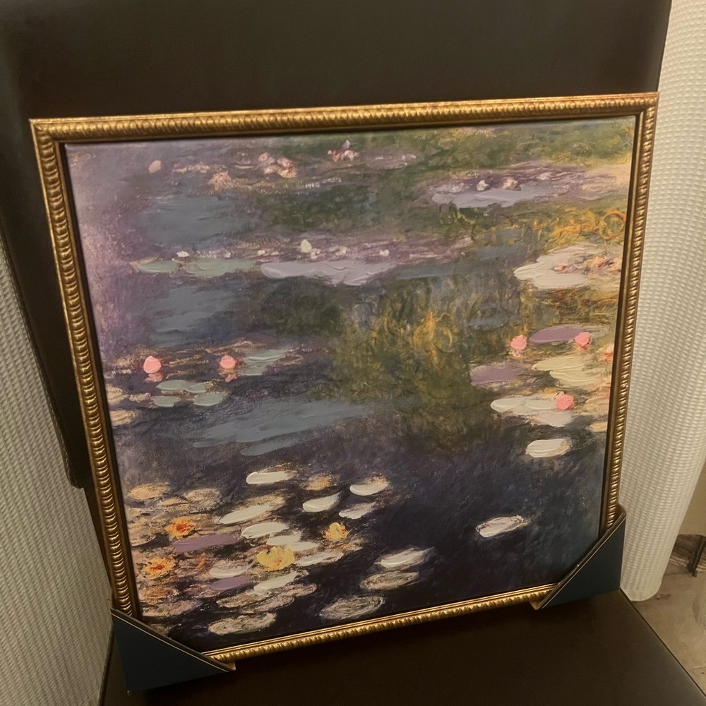 Framed Abstract Water Lilies Painting